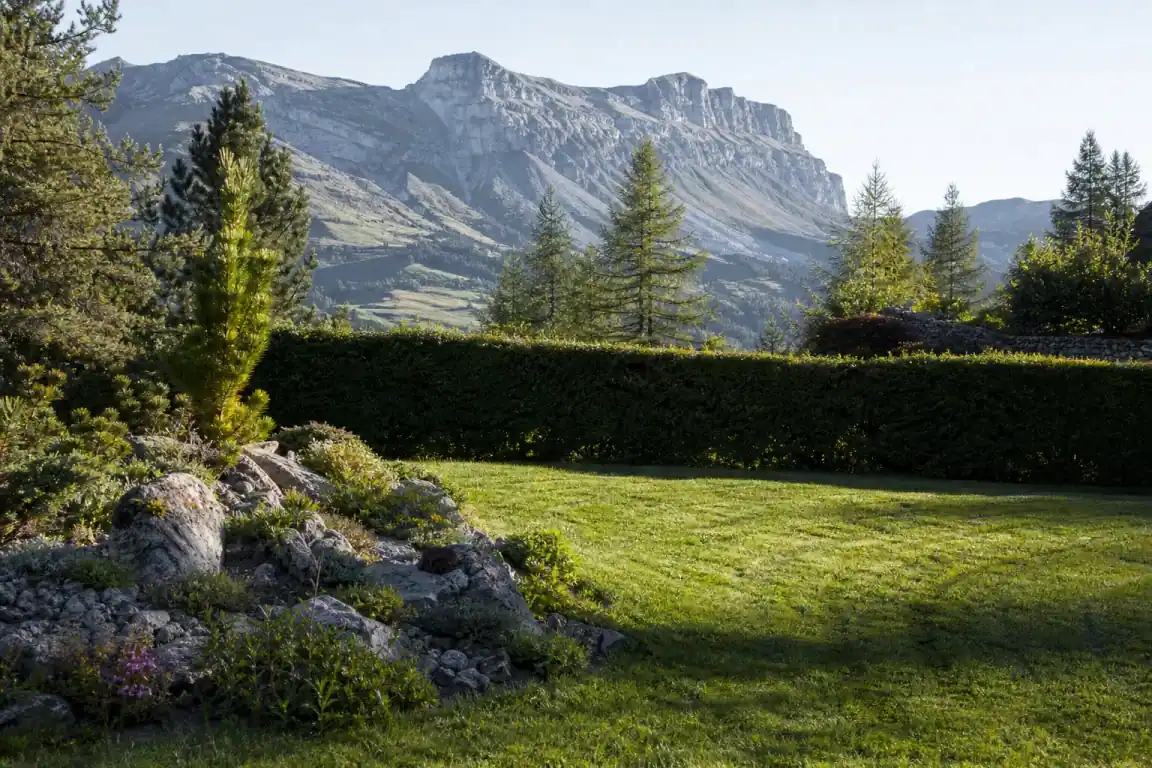 Jardin de particulier à Gap, en fin de journée, pelouse dense fraîchement tondue avec traces de coupe, haie rustique taillée net, massif de rocaille au premier plan, mélèzes et versant minéral du Dévoluy en arrière-plan, lumière rasante d'altitude, aucune personne visible.