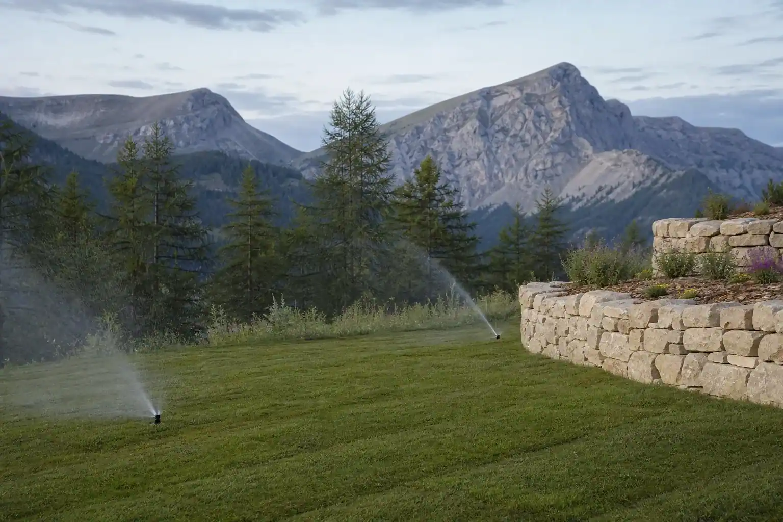Rouleaux de gazon fraîchement posés joints serrés sur un sol préparé et roulé, jardin d'altitude à Gap, arrosage de démarrage en cours, restanque de pierre claire en bordure, sommets en arrière-plan.