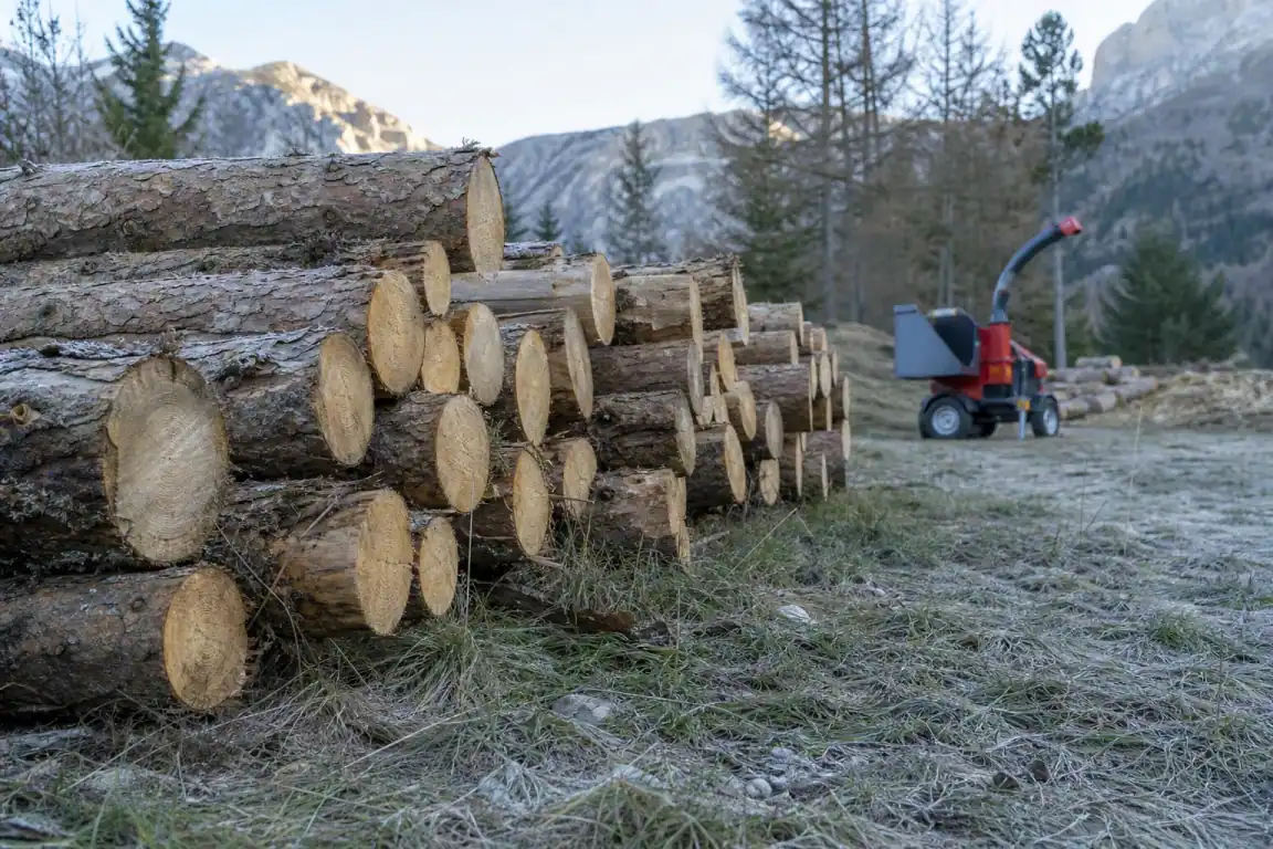 Rangée de billons de mélèze calibrés empilés en bord de jardin de montagne, broyeur en arrière-plan flou, herbe grillée par le gel au premier plan.