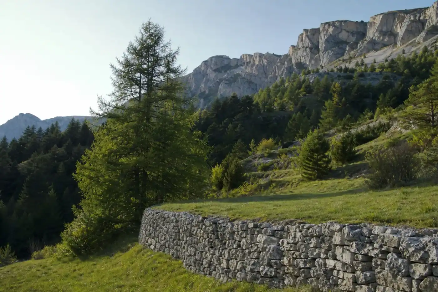 Restanque de coteau gapençais fraîchement entretenue, muret de pierre sèche net, tonte régulière sur la terrasse, versant de montagne en fond de cadre.