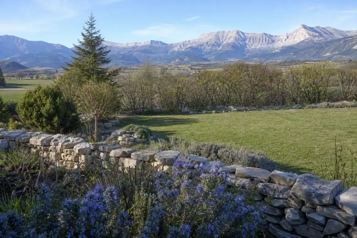 Jardin abrité à la Roche-des-Arnauds en bordure de la large plaine du Petit Buëch, haie brise-vent rustique et pelouse dégagée, horizon ouvert vers Montmaur, montagnes claires au loin, lumière franche du matin, cadrage large.