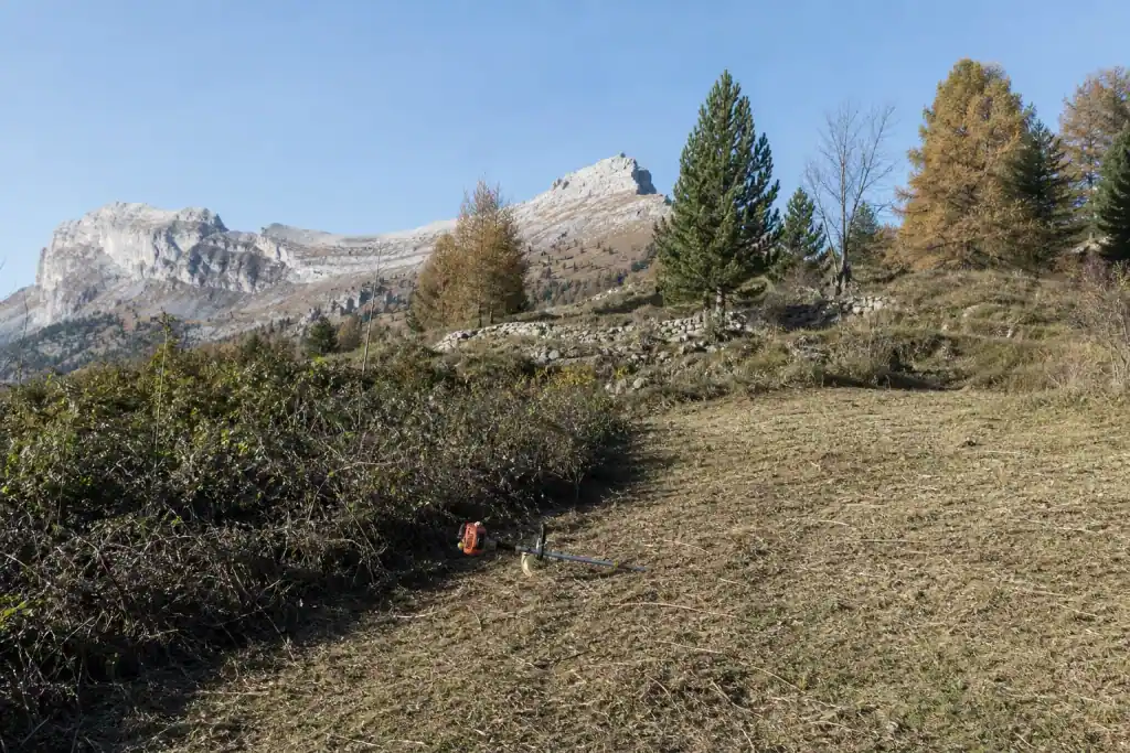 Terrain de fond de parcelle sur un coteau près de Gap, à moitié débroussaillé : moitié gauche encore en friche de ronces, moitié droite fauchée net, débroussailleuse posée sur la ligne de partage, sommets secs en arrière-plan, lumière d'automne.