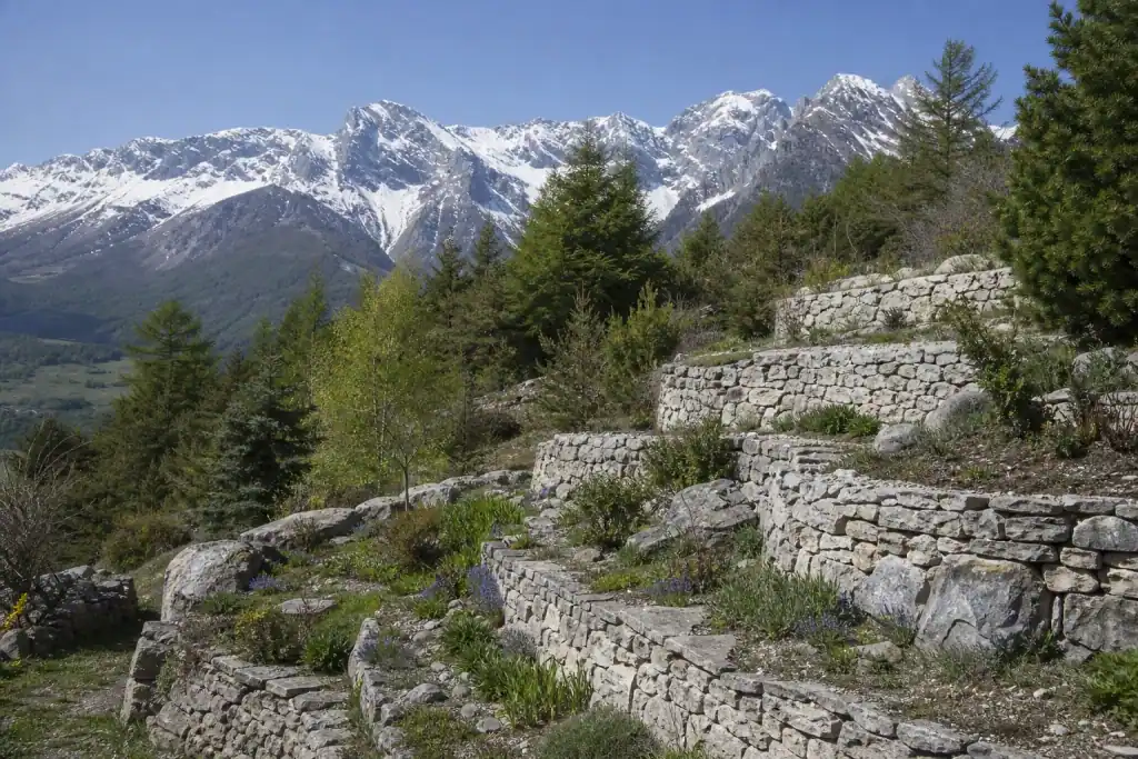 Jardin en restanques à la Bâtie-Neuve sur le versant sud des Écrins, murets de pierre claire et massifs rustiques, pente ensoleillée, sommets enneigés au loin, cadrage montrant les terrasses étagées.